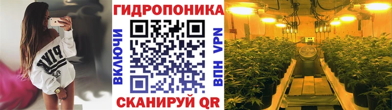 Где найти наркотики Гатчина Cocaine A PVP Гашиш Каннабис МЕФ