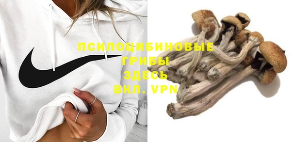 каннабис Тавда