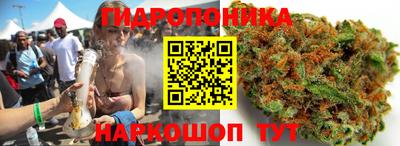 молекула духа Дмитров