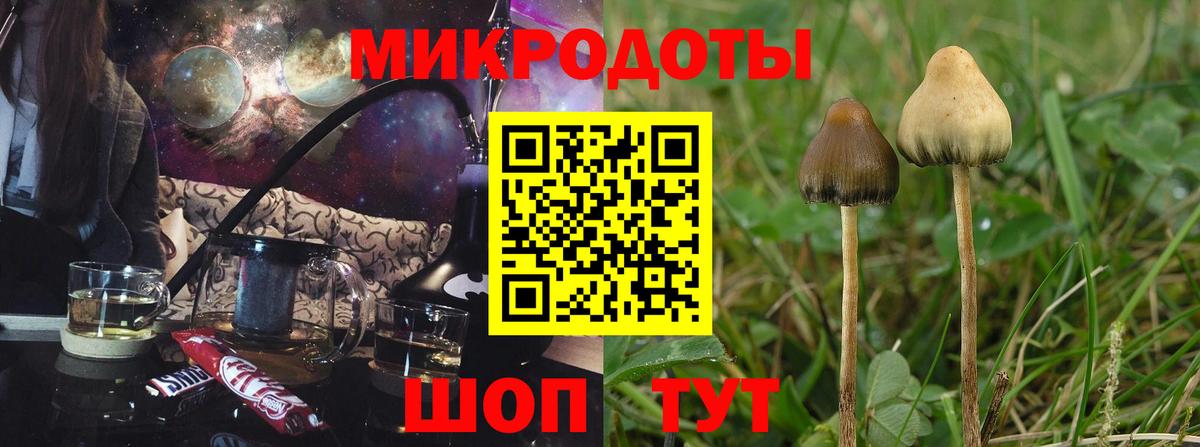 Псилоцибиновые грибы MAGIC MUSHROOMS Гатчина