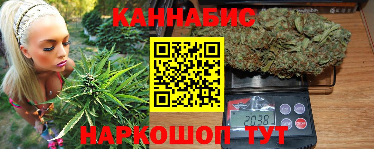 Канабис план  Вход с VPN  Гатчина  МАРИХУАНА ГИДРОПОН 